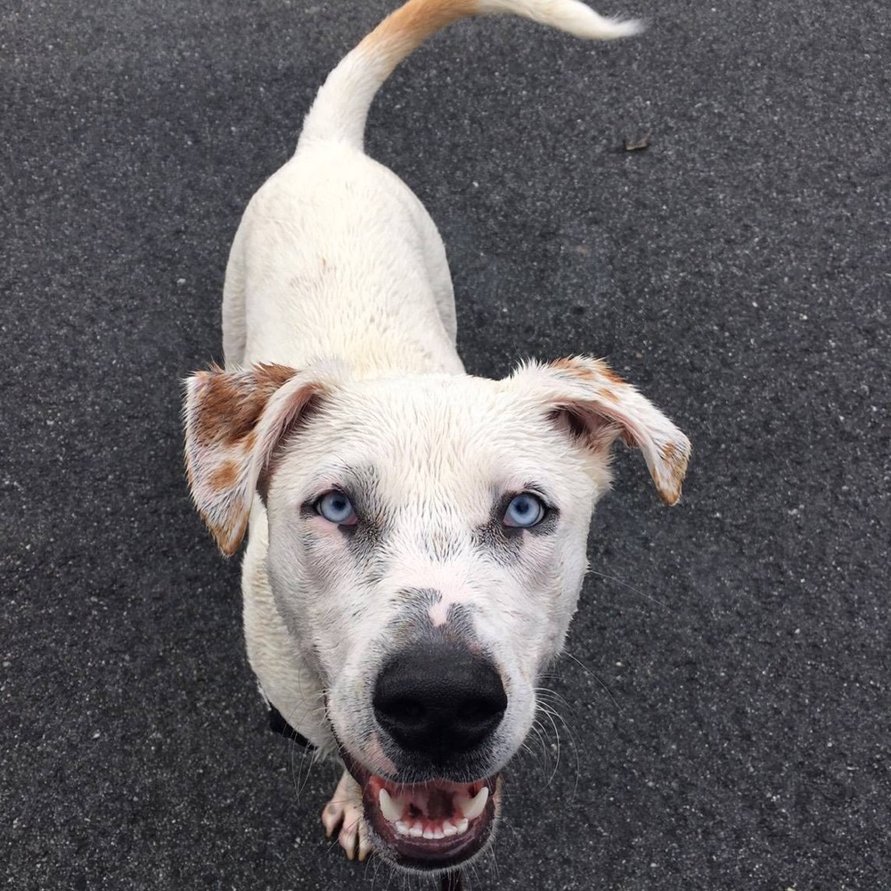 Meet your Posher, Nina